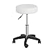 F2C Leather Adjustable Bar Stools Swivel Chairs Facial Massage Spa Salon Stool with Wheels White/Black (White)