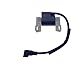 PARTSRUN Zündspule Briggs&Stratton 691060 799651 845126 492341 843931 592846 592376 4045A7 405777 40677 407677 + BS Gummistiefel, ZF IG-A000 53B