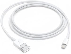 Apple Câble Lightning vers USB (1 m) ​​​​​​​