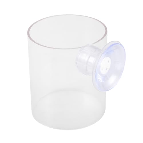 SEWOART ̉ac[ tB[_ Gr Gr^N ANA lbg ̉a  {E  Lbg ybg ̃ANZT[