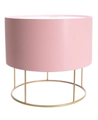 HomeZone Taburete Redondo de Terciopelo Rosa con Almacenamiento Interno Oculto, Moderno reposapiés otomano, Apto para Sala de Estar, Dormitorio, decoración del hogar, tocador