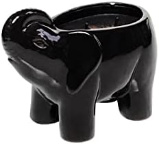 Luxury Elephant Scented Candle – Large 28oz Jar with Soy Wax Blend & 2 Cotton Wicks – Long Burn Time 180–240 Hours – Fall Candles, Fall Scented Candles, Soy Candle for Home & Holiday Décor (Black) - 3