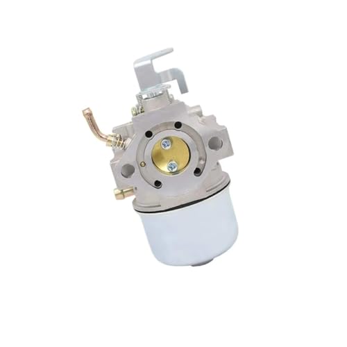 Carburateur compatible avec 95-7935 pour moteurs 814690 et 810420