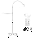 UV Wimpern Lampe, UV Lampe für Gelnägel, 6W Schwanenhals Wimpernlampe mit Fußschalter, Rollen, Boden-/Tisch-UV Lash Lamp, UV Lampe für Gelnägel und Wimpern Aushärten (Weiß)