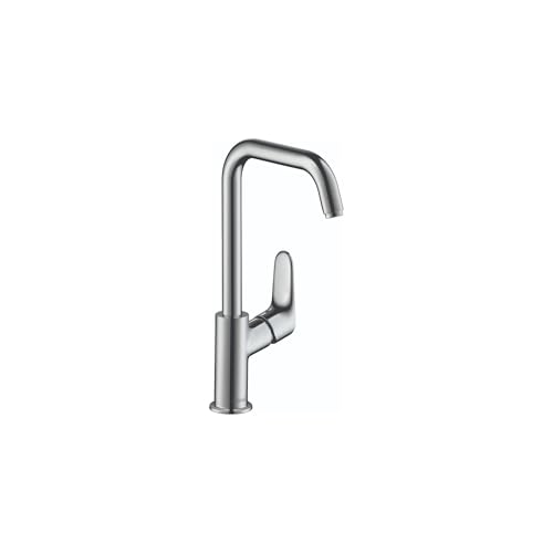 hansgrohe Focus Modern Timeless Easy Clean 1-Handle 1 12-inch Tall