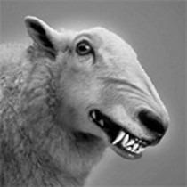 Kundenbild, klicken, um die Kundenrezension zu öffnen