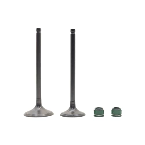 Junta de aceite de válvula CB250 para motor de motocicleta de 250cc