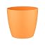 Sunrise Orange