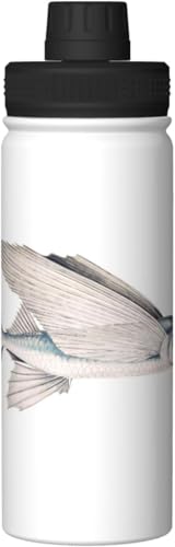 C_egrEI    ^fM ۉ ۗ X|[c{g lC XeX{g X|[cΉ RȂ 530ml j̎q ̎q  l q Aj ObY LN^[ v[g zxw79