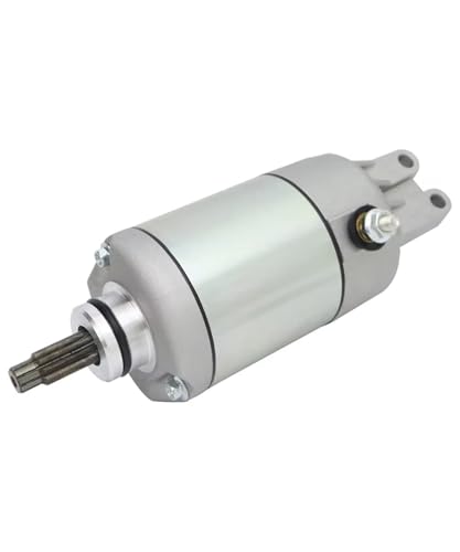 Moteur de démarreur résistant aux démarrages à froid pour TRX400FW