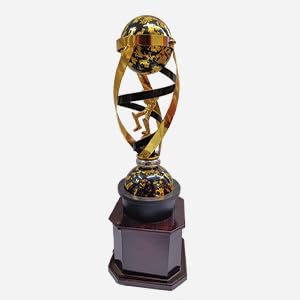 BAREEZE Pure Black Gold Metal Trophy for Events Such Atrophy for Cricket Tournament, Sports, Academy, Awards, School Trophy, Football tournaments (B0CND8C5ZJ) Amazon Price History, Amazon Price Tracker