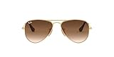 Ray-Ban Junior Unisex Kids RJ9506S Metal Aviator Sunglasses, Arista/Brown Gradient Dark Brown, 52 mm