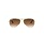 Arista/Brown Gradient Dark Brown
