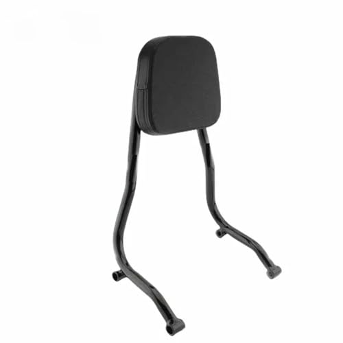 Coussin de dossier passager arrière moto balades en R18 2021