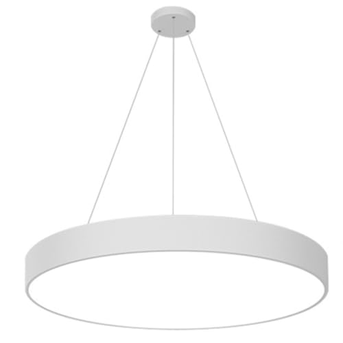 CWVYKNP Gym LED Pendant Light Round Ultrathin Hanging Lamp Minimalist