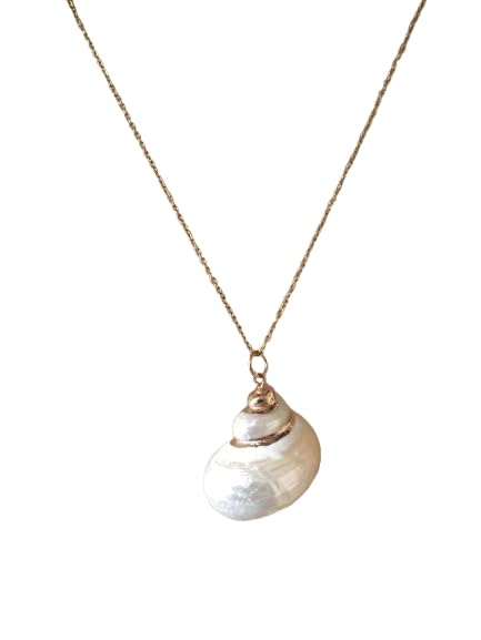 Pendentif coquillage nacre durable qui ne noircit pas sur la peau
