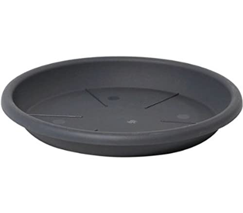 Dehner Blumentopf-Untersetzer Eolo, Ø 65 cm, Höhe 8.6 cm, Kunststoff, anthrazit