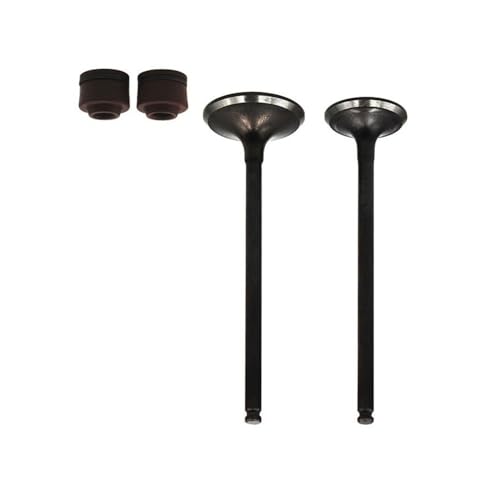 Joint d'huile moteur moto et tige étanche pour résoudre les fuites de XL250 NX250 AN250