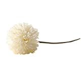 gelbe blüten strauch Künstliche chrysanthemen: wenn künstliche chrysanthemenkugeln vorhanden sind, können sie diese mit einem feuchten tuch reinigen.