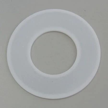Flange Gasket, Ring, 2 in, PTFE