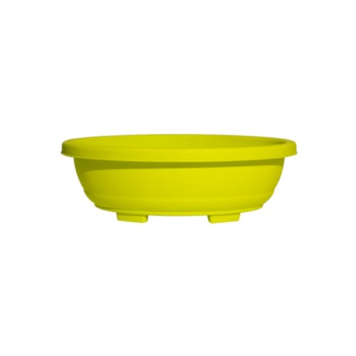 Image of Harshdeep Bonsai Plant Pot - Oval - Indoor Home Balcony Terrace Garden Decor 16 Inch Light Weight Plastic Planter Set of 2 (Yellow)