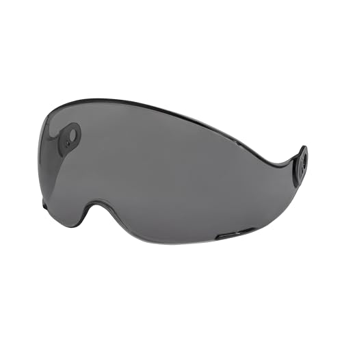 DEWALT DPG22-SH Visor with Premium Anti-fog+ Smoke Lens Designed to Fit DPG22...