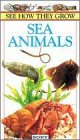 See How They Grow: Sea Animals [VHS]
