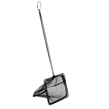 best dip net for elver fishing