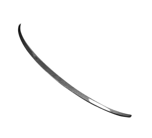 ɓK eXf Y 2020 2021 2022 2023 2024 X|C[bve[ECOANZT[AgNX|C[(2)