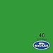 Savage Seamless Paper Photography Backdrop - #46 Tech Green (107 in x 36 ft) Made in USA