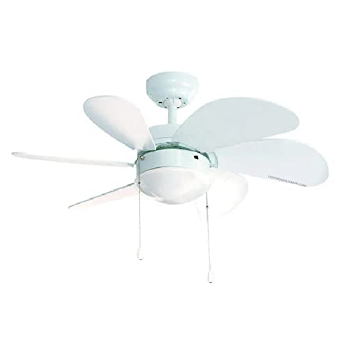 Suinga Ventilador de Techo FM | 80 cm | 50W | Con Luz | Color Blanco | Diseño Compacto y Funcional | Aire Fresco y Silencioso para el Hogar | Ideal para Habitaciones y Espacios Reducidos