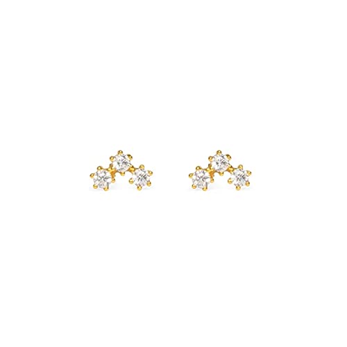 YCTTKDD 100% kleine Ohrstecker für Frauen, exquisiter Piercing-Ohrring, Geburtstagsgeschenke, Schmuck