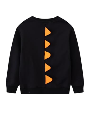 Boys Sweatshirts Casual Sweatshirts Cotton Sweatshirts Long Sleeve T-shirts Crew Neck Cartoon Tops for Boys-1762