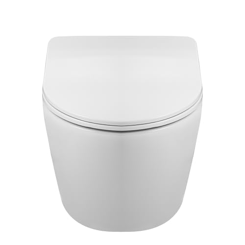 AquaUno Livo - Inodoro colgante sin bordes, de cerámica blanca con cierre rápido de liberación rápida, asiento de duroplast, higiénico y fácil de limpiar, incluye kit de montaje