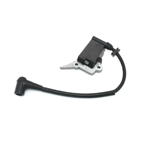 Bobine d'allumage pour module 6687667 résout les ratés de démarrage