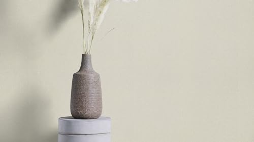 Papier peint intissé masque défauts muraux gris clair structuré Rasch