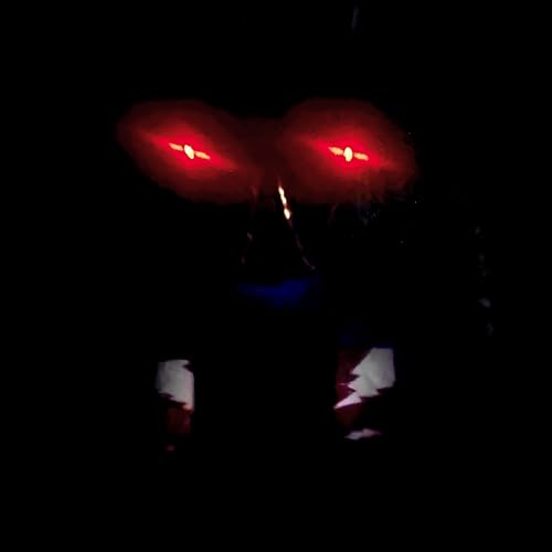 Wired Headphones