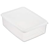 新輝合成(Shinki Gosei) トンボ ナチュラル ジャンボシール 保存容器 抗菌 大容量 5.9L 幅23.5×奥行31×高さ10cm NO.2 日本製