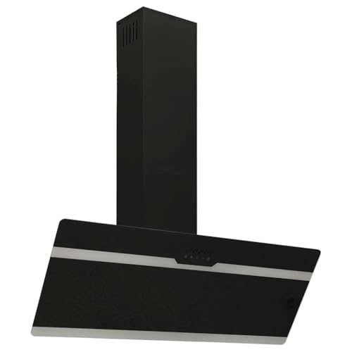 VidaXL Campana Extractora Pared Cocina Soporte