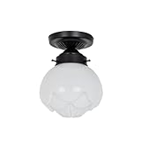 Art Deco Trade - Lámpara de techo escolar Paeonia Moonlight