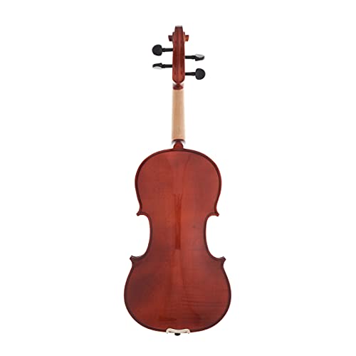 Apollo 4/4-Size Solidwood Violin With Ebony Fittings, Complete With Case And D'addario Prelude Strings #TOP2