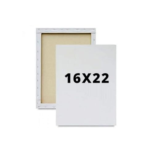 Kit com 10 Tela de Pintura 16x22cm