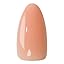Sheer Peach