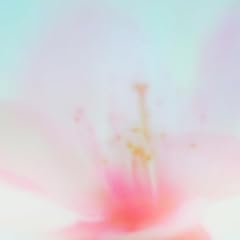 ���t�� (Re-recorded) / tonun