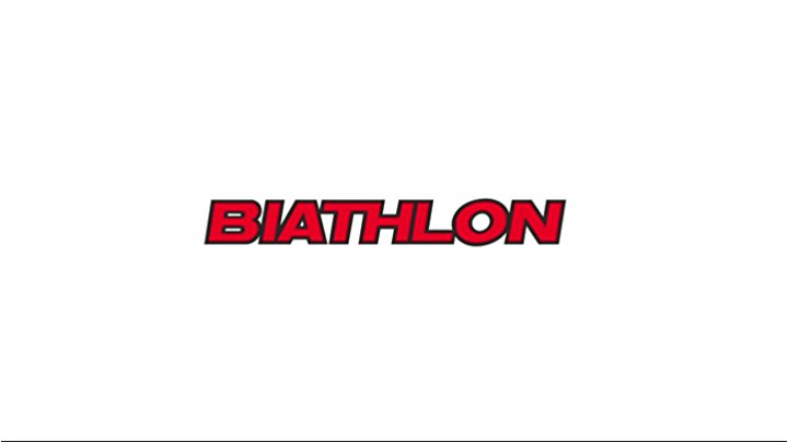 9カーメイトを簡単に設置し、日本製、JASAA認定、非金属タイヤチェーン、バイアスロンクイックイージーQE14、フィット：225 / 45R18,225 / 50R17,20R18（夏）225/55R17 215 / 60R16冬）215 / 65R16（夏）215 / 70R15（夏）195R15（Winte） 