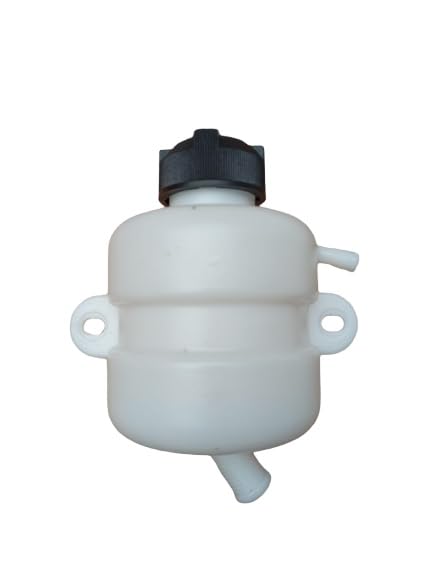 1405582 RADIADOR TANQUE AGUA LIGIER MICROCAR DEBIDO PRIMERA Universal