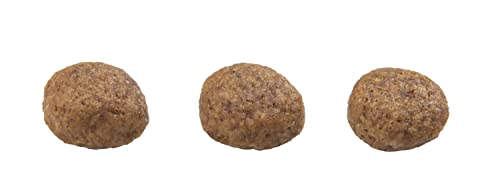Guabi Natural Ração Granplus Menu Cães Filhotes Carne E Arroz 15Kg