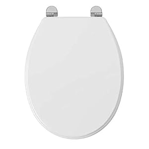 Adshank Toilet Seat Cover with non soft close hinges | White effect shade/color | Adaptable/Suitable to Convention Regular EWC commode toilet | Model : AI 2016E 00 PBn | With complete factory fitted Hinges.