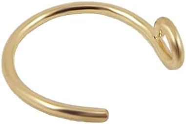 Faux 10mm 14K Gold Filled Fake Nose Ring 20g for Men or Women