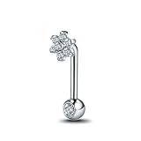 Xpircn 14G G23 Titanium Christina Piercings Barbell VCH Bar Genital Jewellery Curved Barbell Piercing Jewelry (Clear)